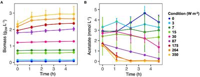 Light intensity defines growth and photopigment content of a mixed culture of purple phototrophic bacteria